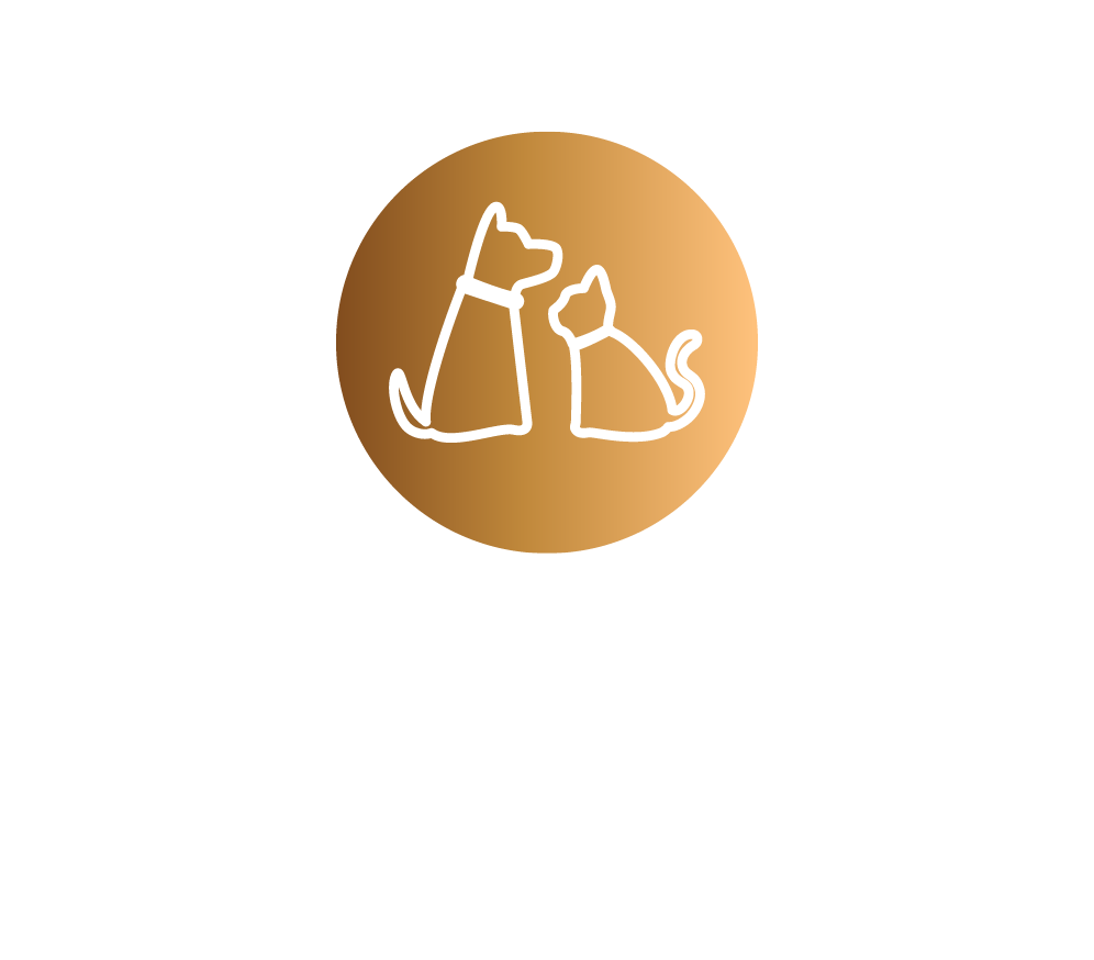 Mesa de trabajo 8@2x